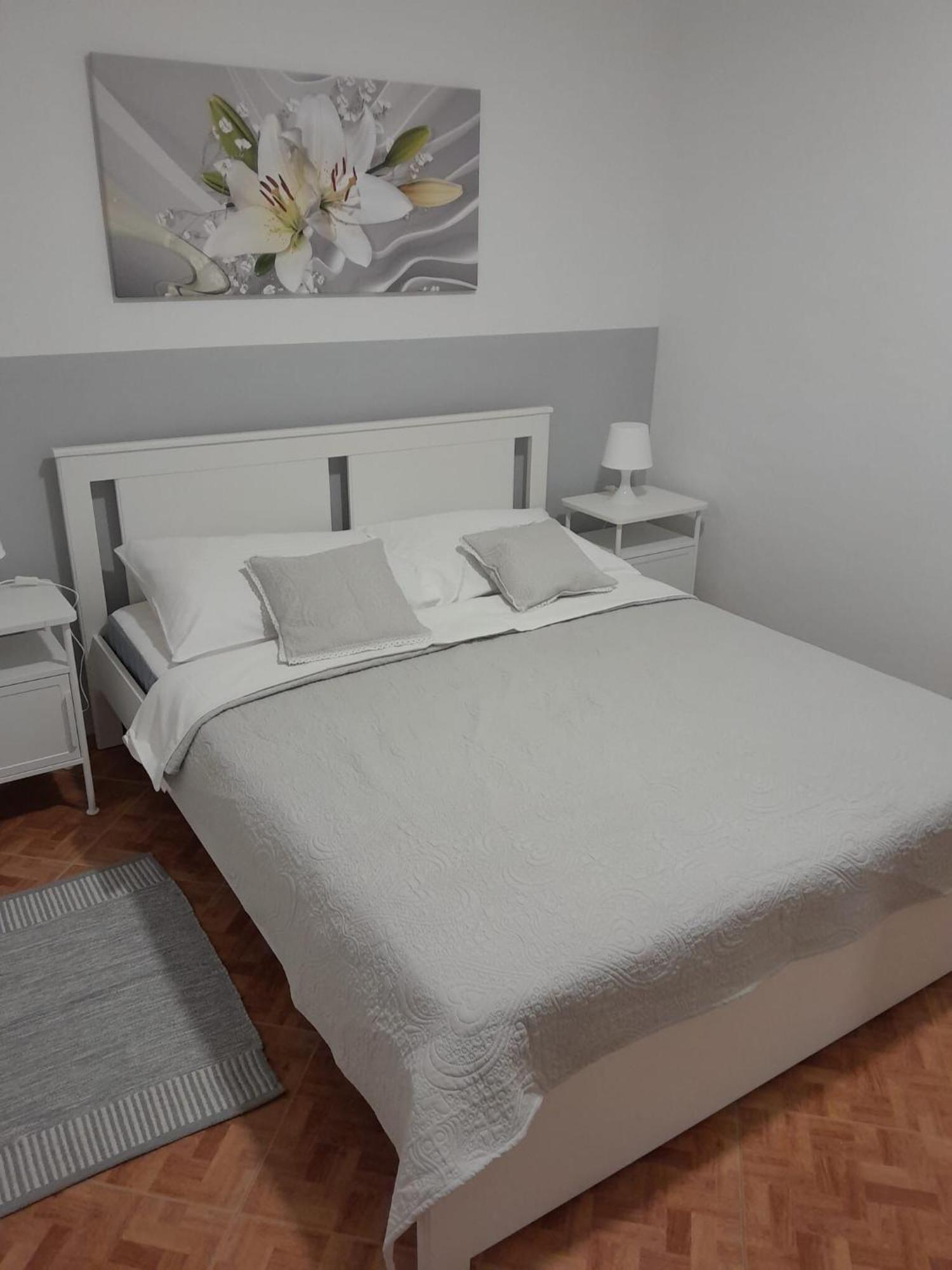 Apartments Josip ドラゲ エクステリア 写真